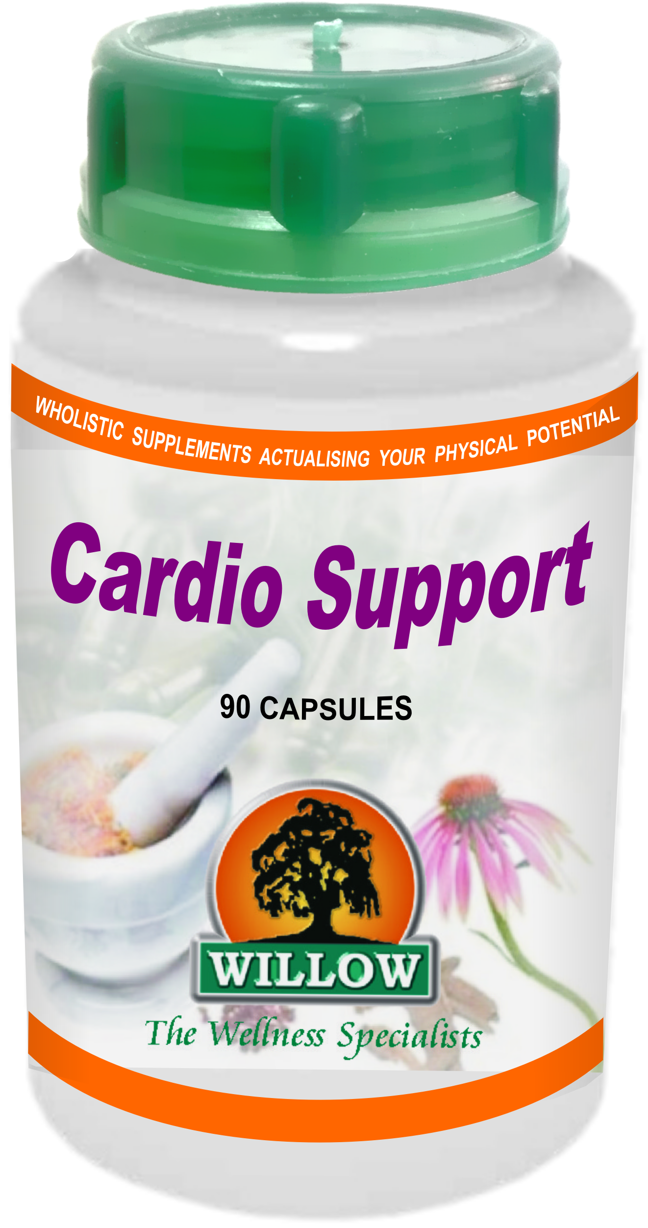 CARDIO SUPPORT