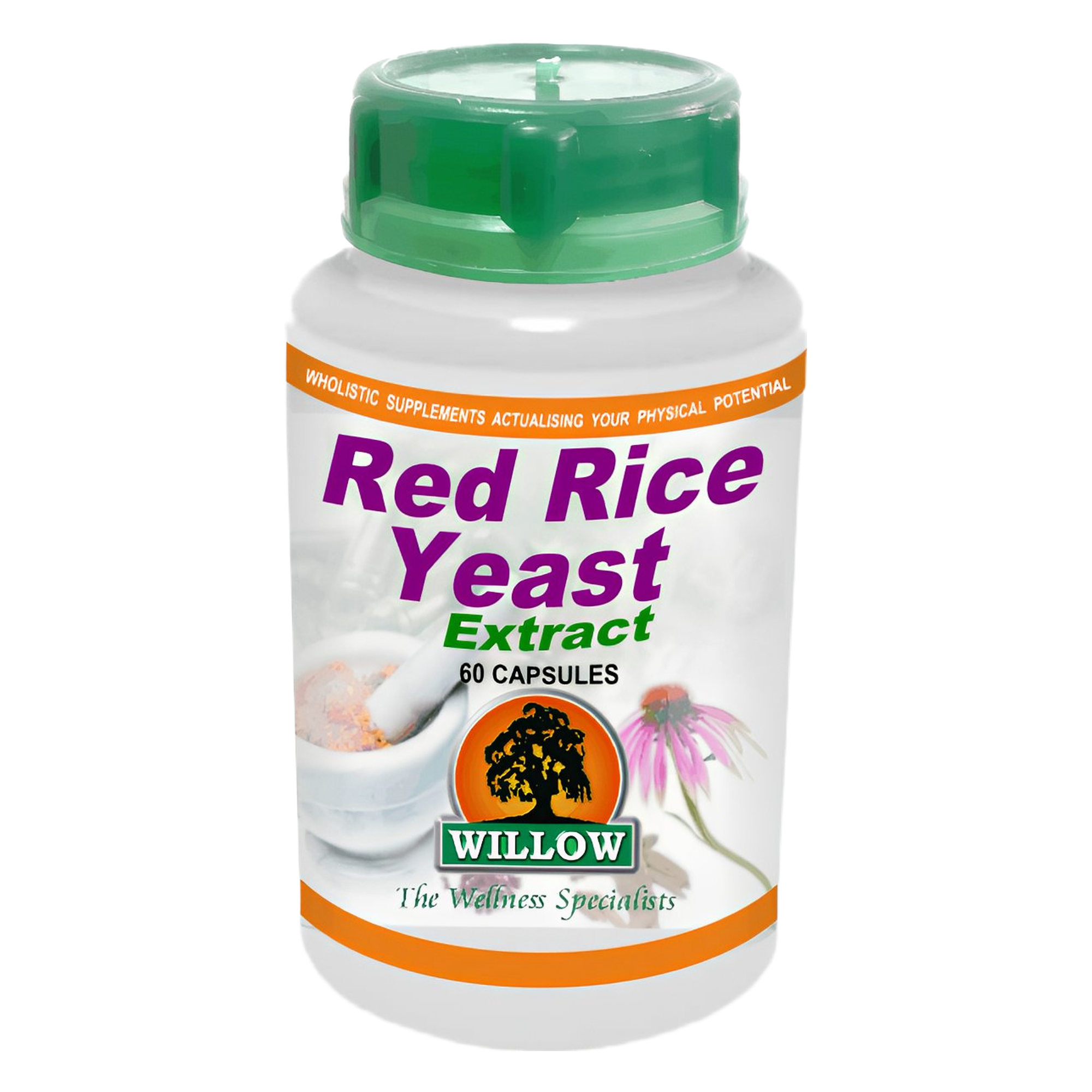 RED RICE YEAST EXTRACT